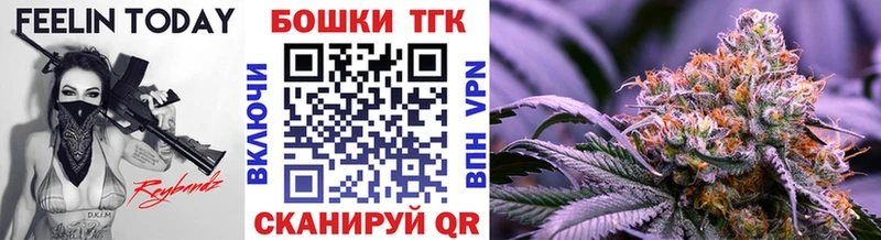 Бошки Шишки конопля  где найти   Новосиль 